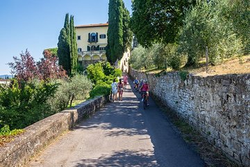 Tuscany Half day biking with oil producer, Chianti wine and food