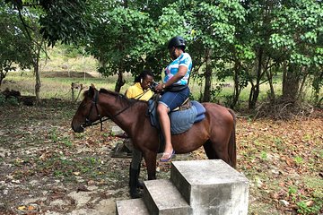 Customize Day Tour In Ochi (Horseback Riding,Rafting,Blue Hole, Dunns River )