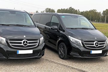 Roundtrip transfer by minivan from Seville to Granada