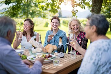 Full-Day Marlborough Scenic and Wine Tour from Picton