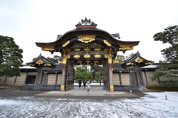 Nijo Castle and Imperial Palace Visit with Guide