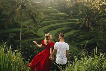 Ubud and Surrounding Tour