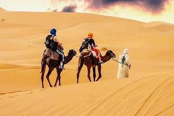 A luxury tour desert from Marrakech kasbah ben hedou ouarzazat gorges dades fes