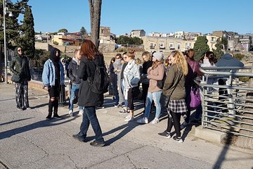 Herculaneum Guided Walking Tour with priority admission