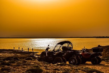 Sand Buggy Adventure ~ Sharm El-Sheikh~ ; Solo;Small Groups 