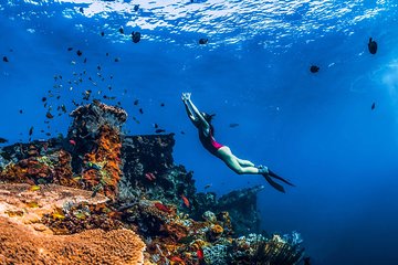 Amed Bali Snorkelling: Japanese Shipwreck & Vienna Beach Tour