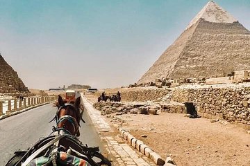  Ride a Camel and Enjoy Local BBQ Dinner at Giza Pyramids 