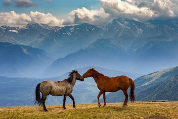 Trekking tour from Tusheti to Kazbegi with only two overnight stays in tents.