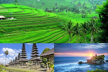 Jatiluwih Rice Terrace & Tanah Lot Tours