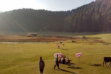 Shimla Queen Of Hills Tour Package 3 Days By Car 