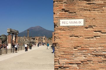 History and Wine - Private car service, guided tour of Pompeii and Wine tasting