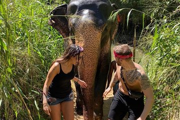 5 Days Tour in Sri Lanka (Hotels with Breakfast & Luxury Car)