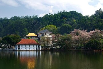 3 Days Tour to Kandy Nuwara Eliya & Sigiriya from Colombo