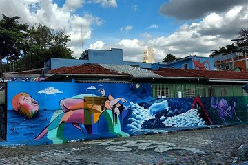 Street Art & Graffiti Sao Paulo 4-Hour Private Tour