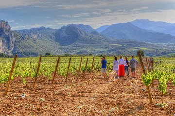 Rioja Like A Native Wine Tour