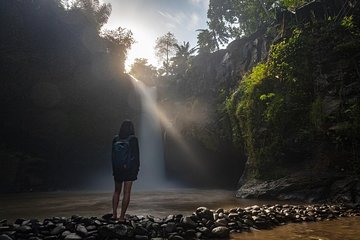 The Best Ubud Experience in a Full-Day Private Tour - Free WIFI