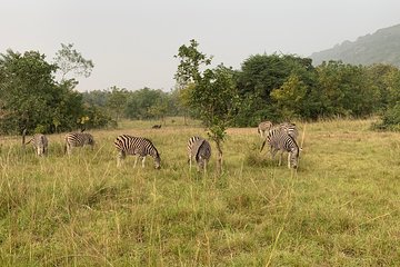 Discover Nature at Shai Hills and Akosombo: Wild Animals, Caves & Volta Lake