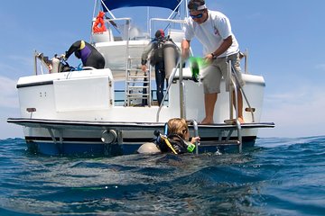 Beginner Diving Lesson (2 Days) with Two Tank Dives in Guanacaste