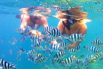 3D/2N (Hostel) Backpacker Lombok Tour Package
