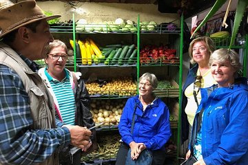 Exotic fruits, foods and typical flavors Tour