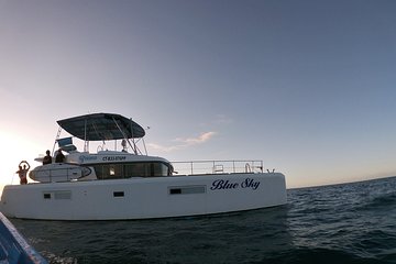 Catamaran Cruise with Snorkeling and lunch on board!