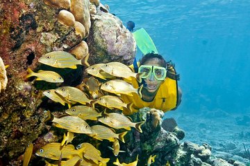 Amazing tour to Cozumel. Snorkeling adventure to find an underwater world!