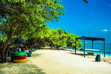 Live A Beautiful Experience in Isla Palma