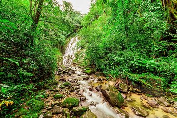 Anton Valley tours