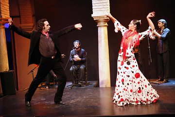 Flamenco Show "Museo de Baile Flamenco"