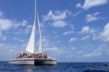 Pura Vida Sailing Catamaran Adventure From Guanacaste