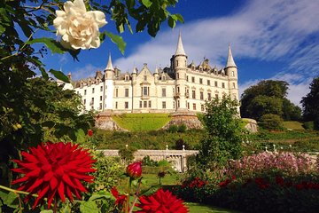 Invergordon Cruise Excursion to Dunrobin Castle, Dornoch and more