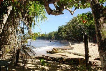 Combo Tour: Tortuguero Canal & Cahuita national Park