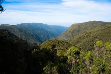 Rabaçal Hiking Tour