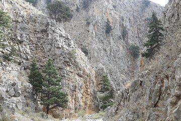 Hike Imbros Gorge and Beach Private Tour (price per group of 6)