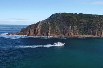 Cape Woolamai Sightseeing Cruise from San Remo