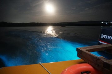 Luminous Lagoon "Glistening Waters" tour from Montego Bay Hotels