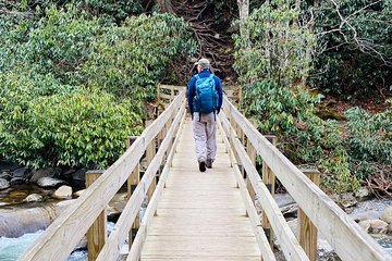 Thundering Streams and Falls of the Smokies Guided Hiking Tour