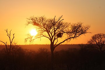 3 Day Kruger National Park tour