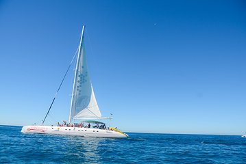 Punta Cana : Saona Island Day Tour 