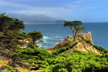 Carmel / Monterey Hwy 1 tour 