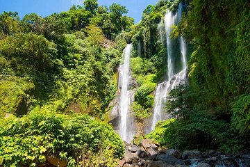 Bali Waterfalls Tour - One Day Private Tour