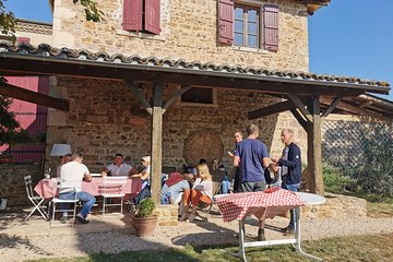 Beaujolais Wine Tasting Day Tour from Lyon