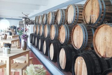 Wine Tour Discover the history and flavors of the best winery's of Lisbon Region