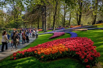 Half a day bicycle tour to flower park Keukenhof