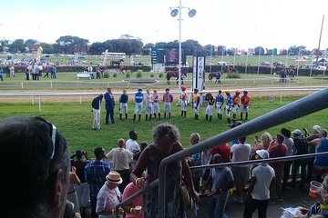 Horse Racing Experience at the Garrison Savannah Racetrack