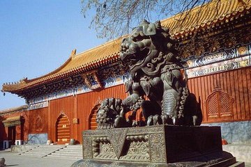 Private Day Tour: Summer Palace, Lama Temple and Hutong Experience