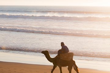 Agadir : 2-Hour Camel Ride Experience