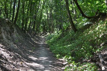 Private Kyiv Hiking Tour in Holosiivsky Forest and Kitaevskaya Hermitage