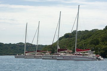 Private Catamaran Sailing Tour