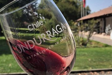 Undurraga Winery - Tour with Tasting